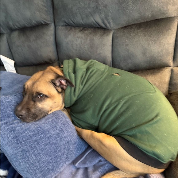 Meet your Posher, Lee . Unique pieces available here ! Enjoy shopping! - Picture 6 of 6